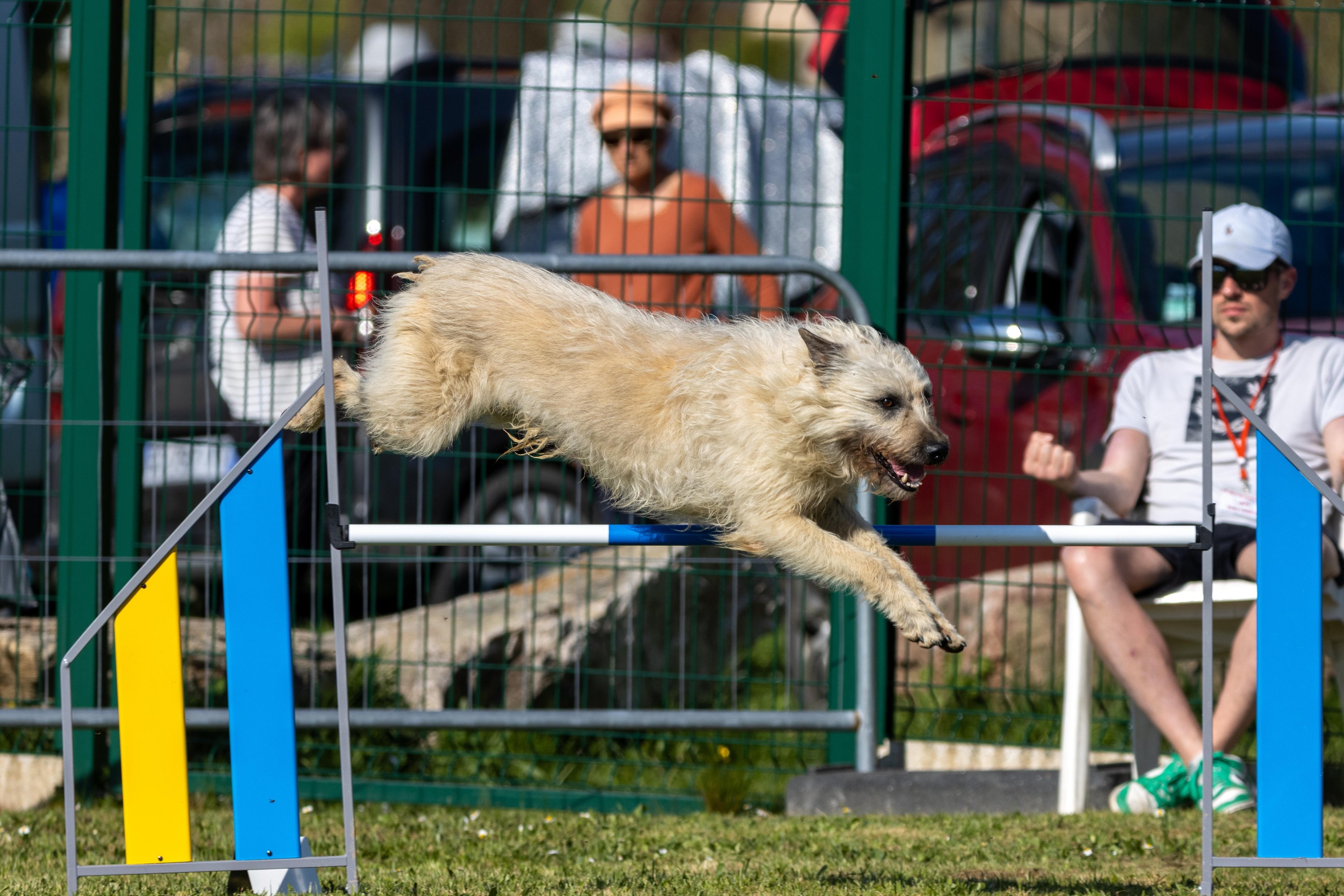 Jumping 2 etoile 0498