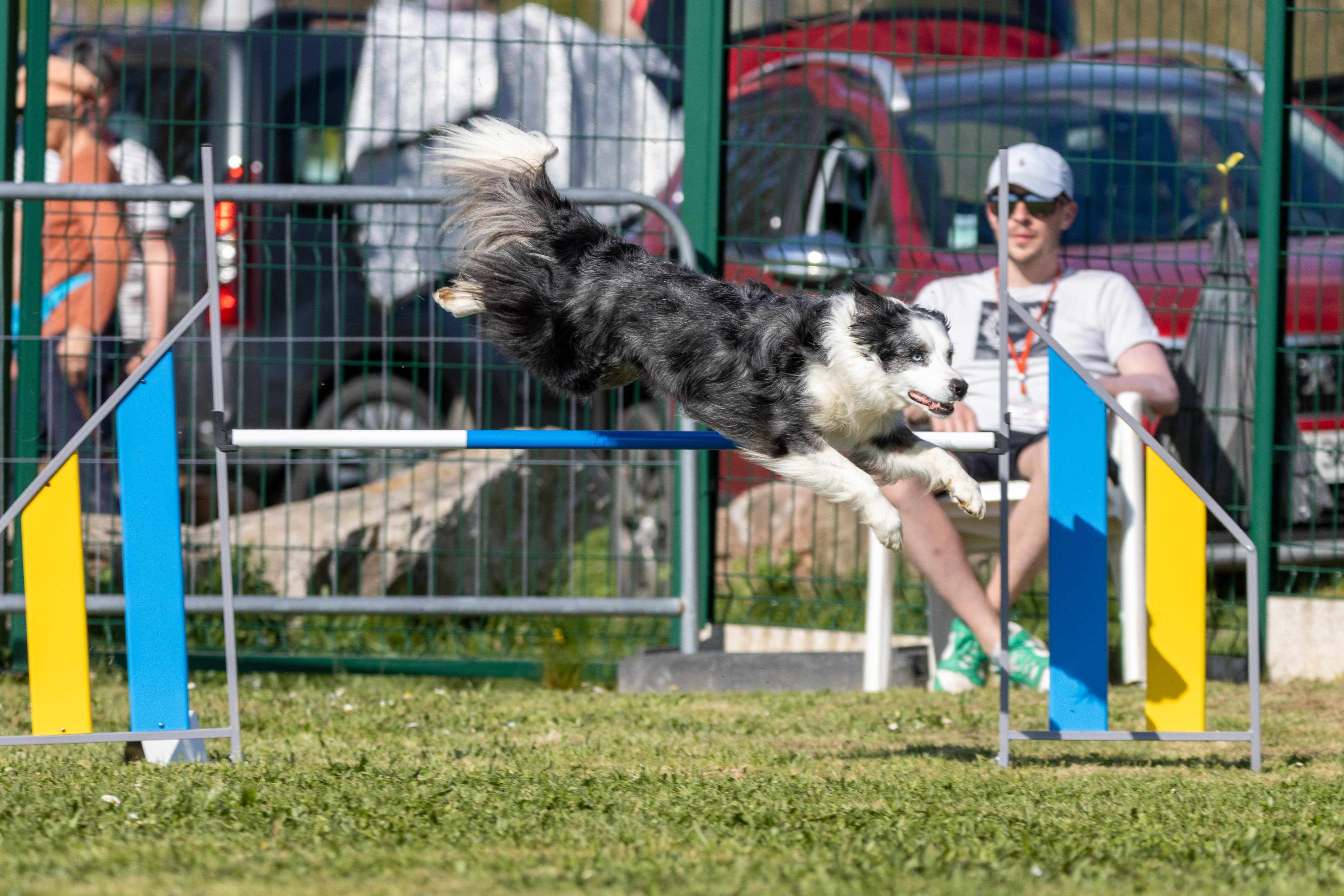 Jumping 2 etoile 0500