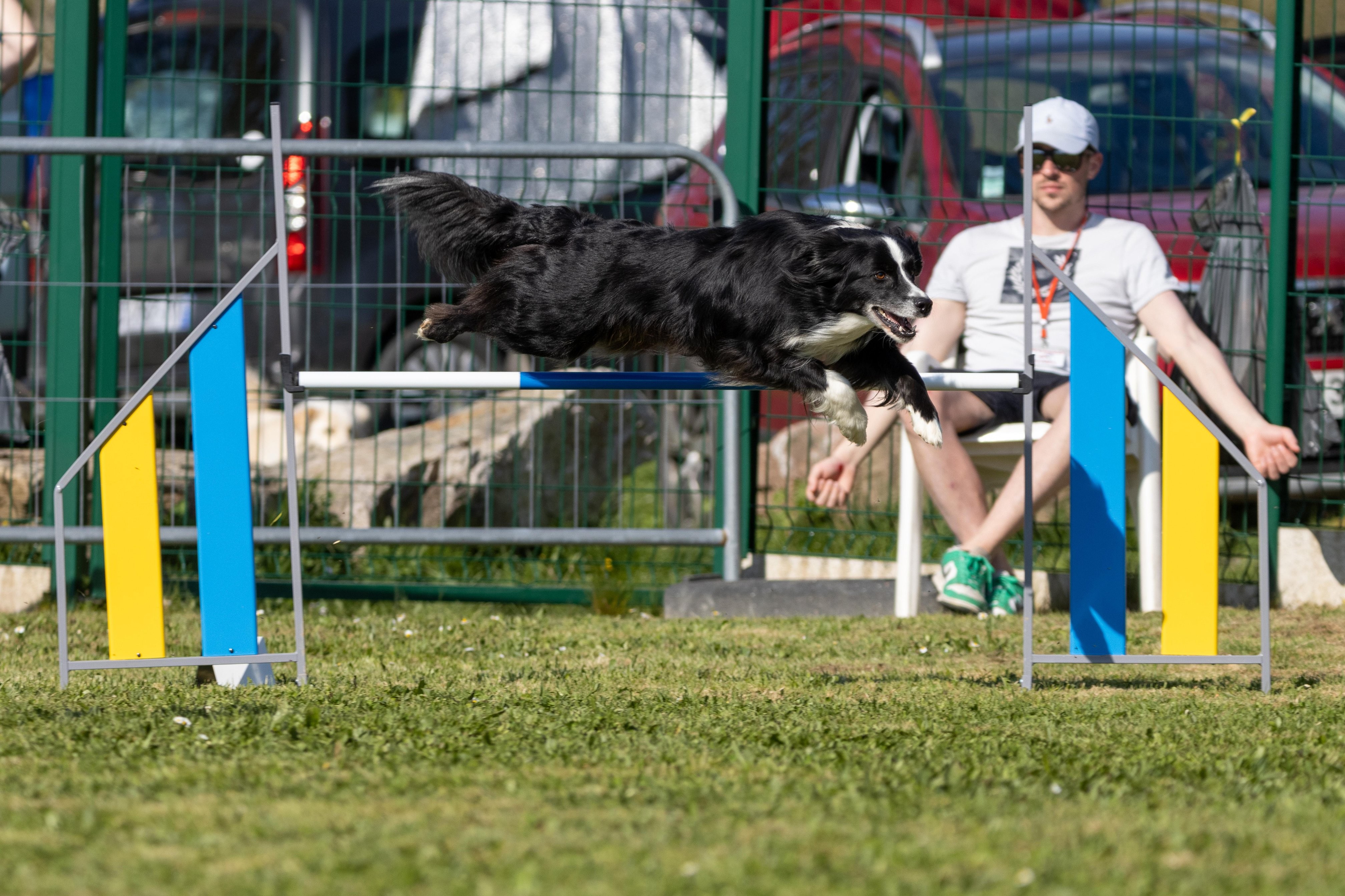 Jumping 2 etoile 0502