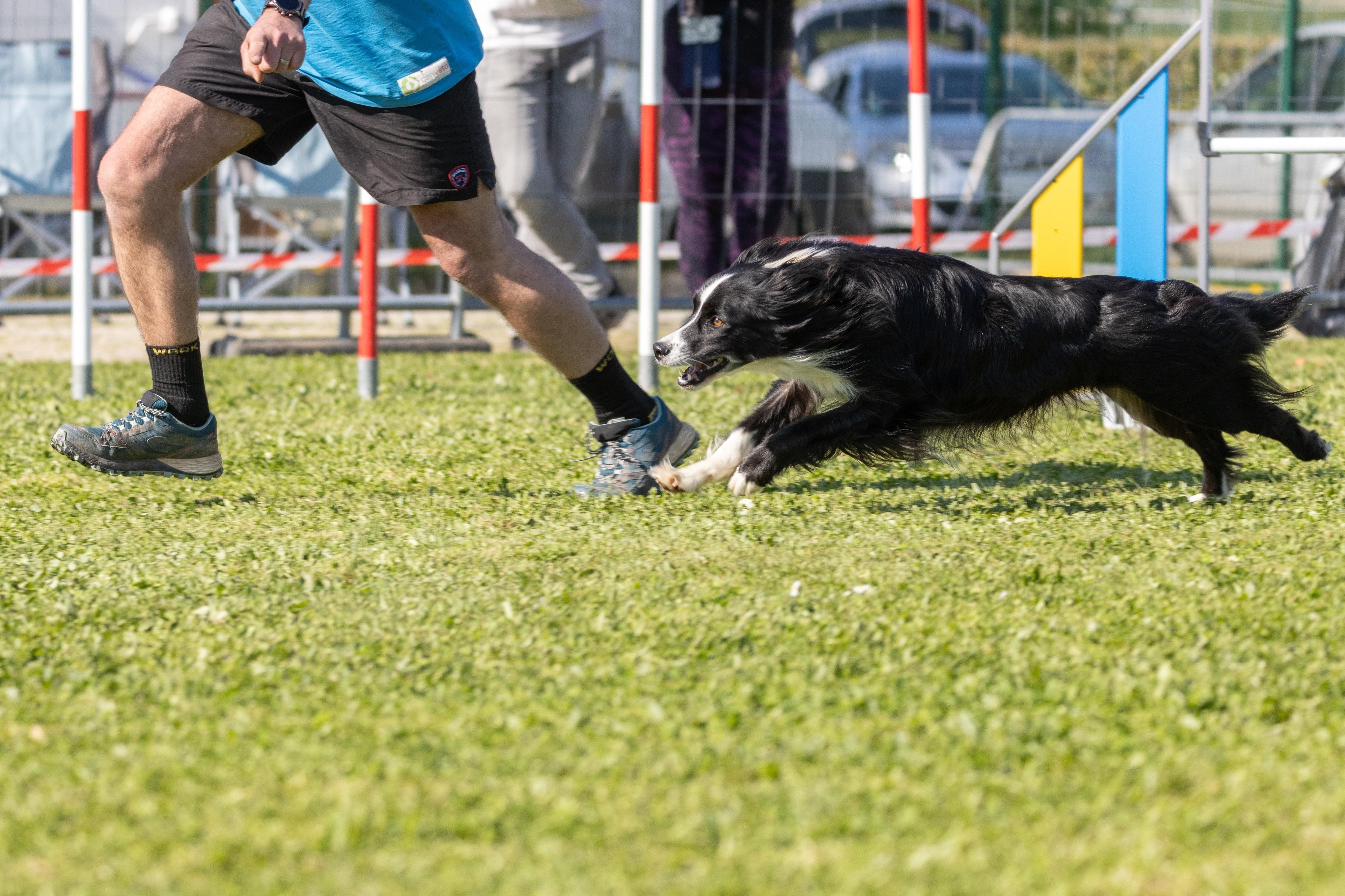 Jumping 2 etoile 0503