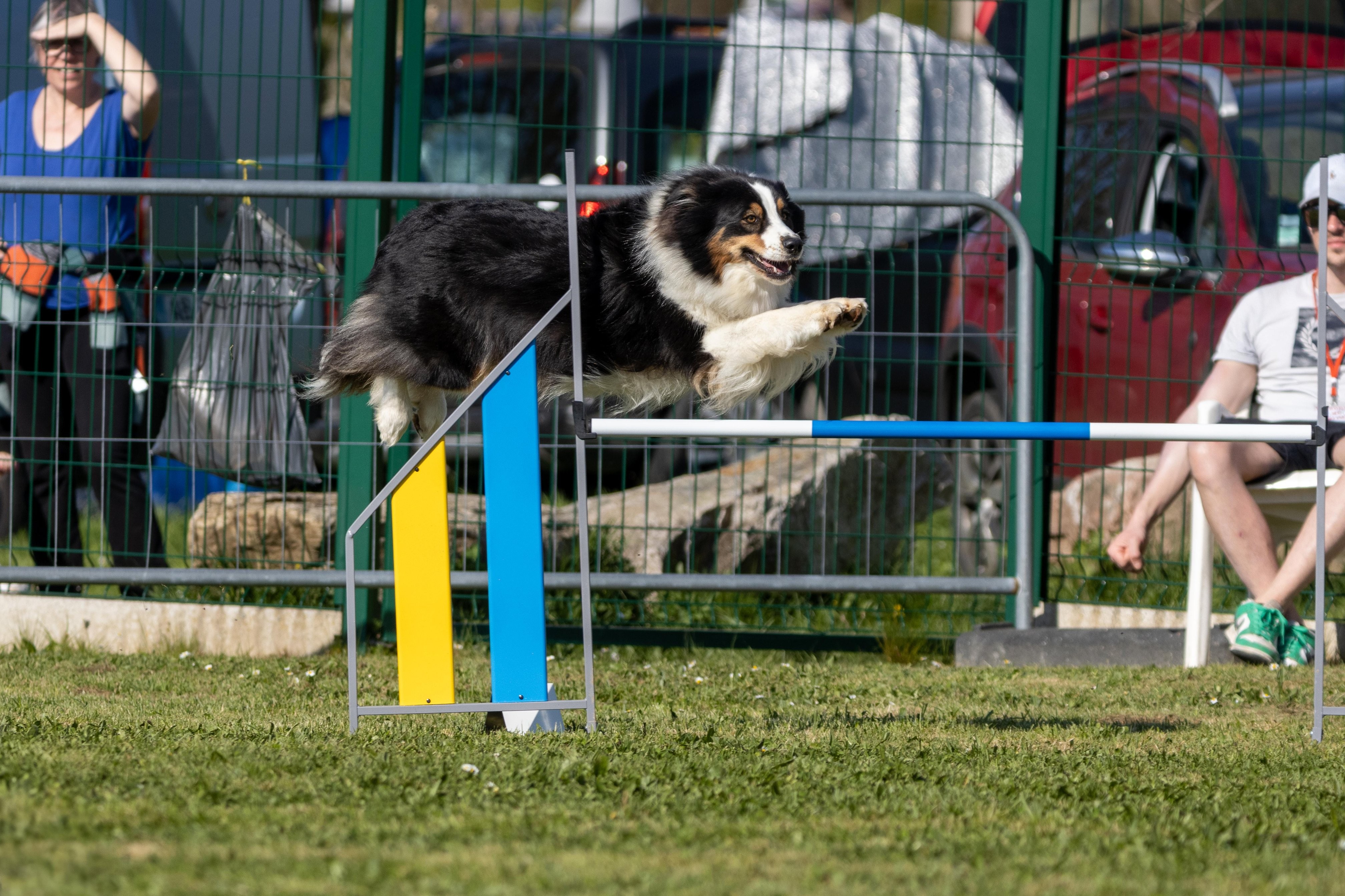 Jumping 2 etoile 0505