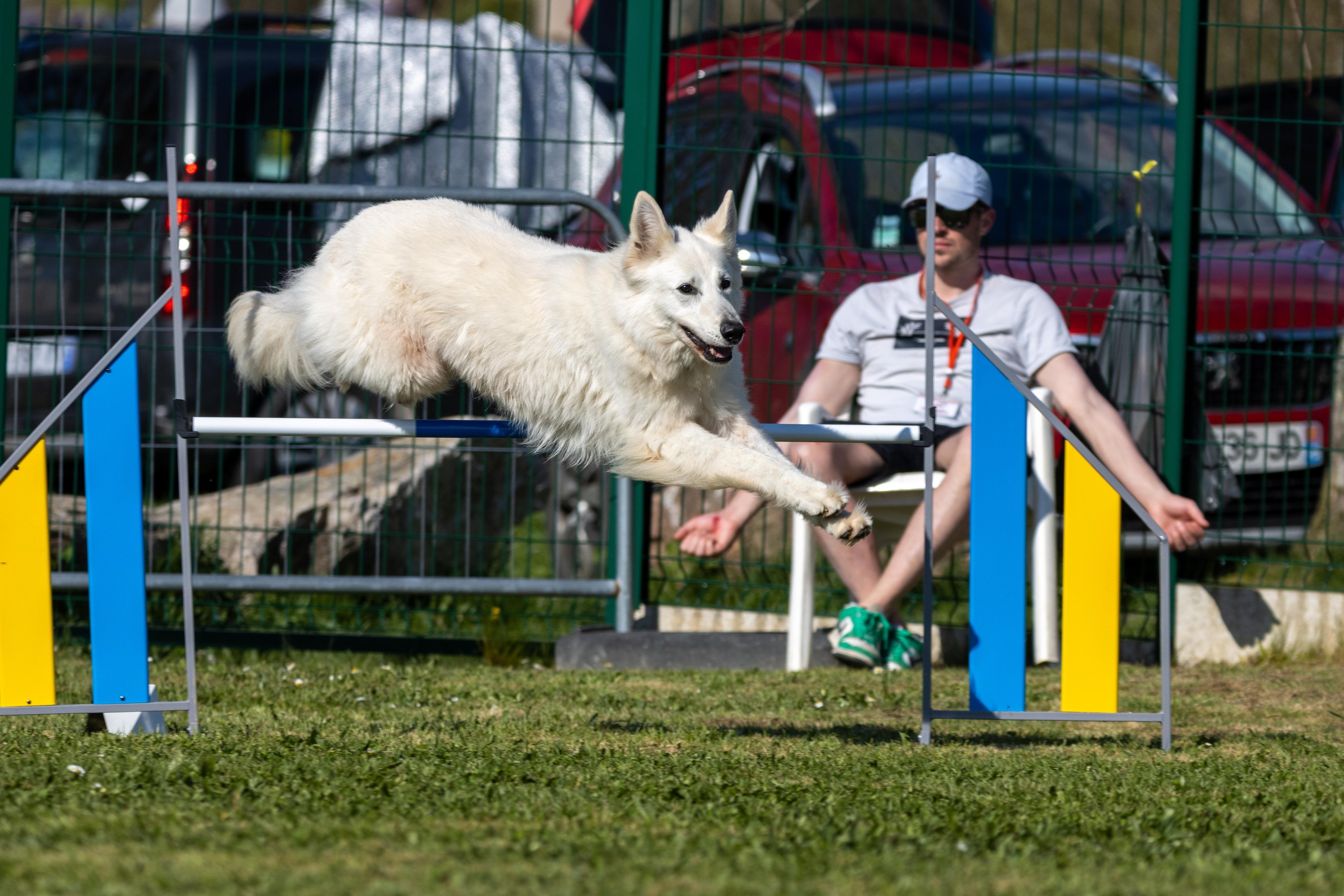 Jumping 2 etoile 0509