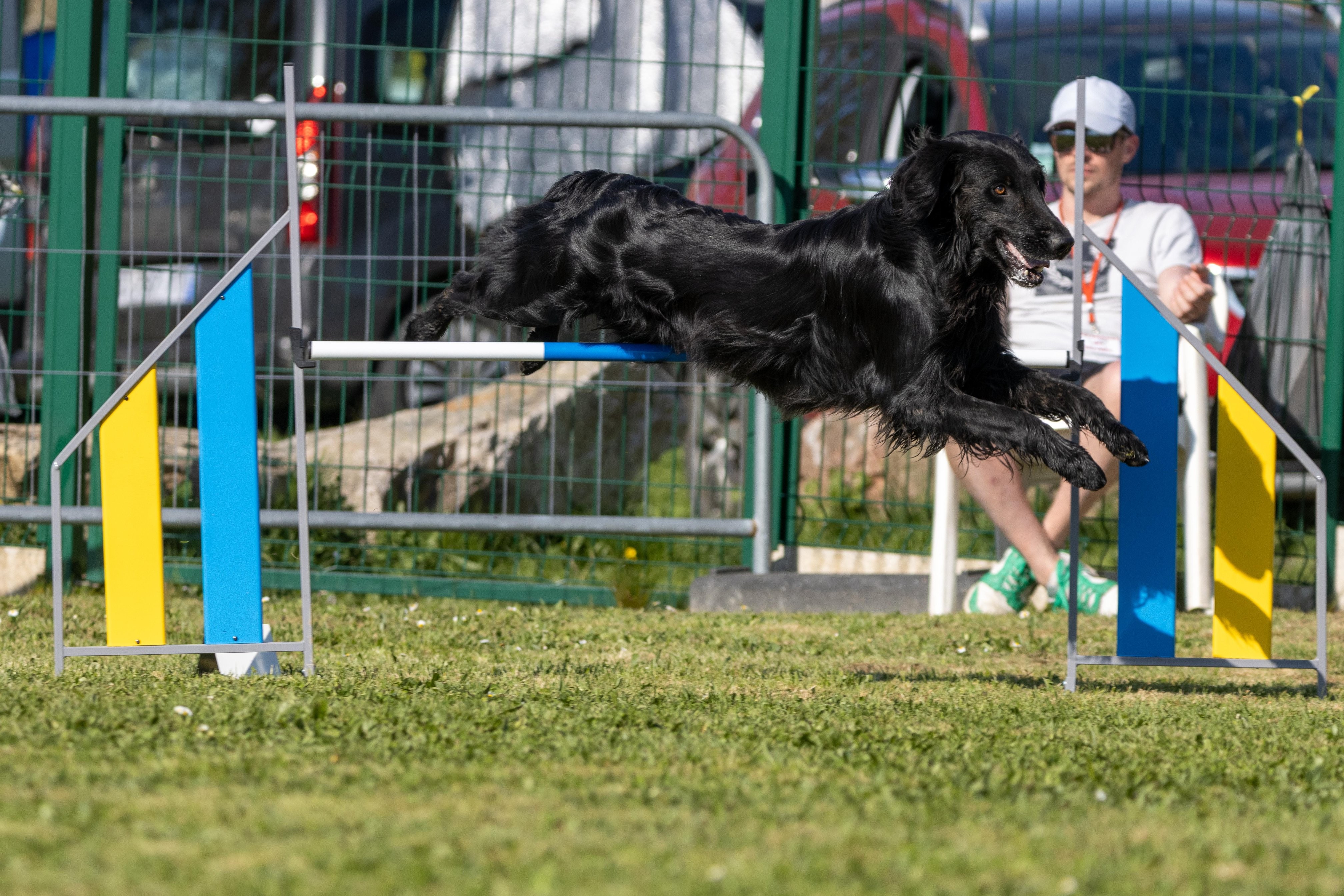 Jumping 2 etoile 0517