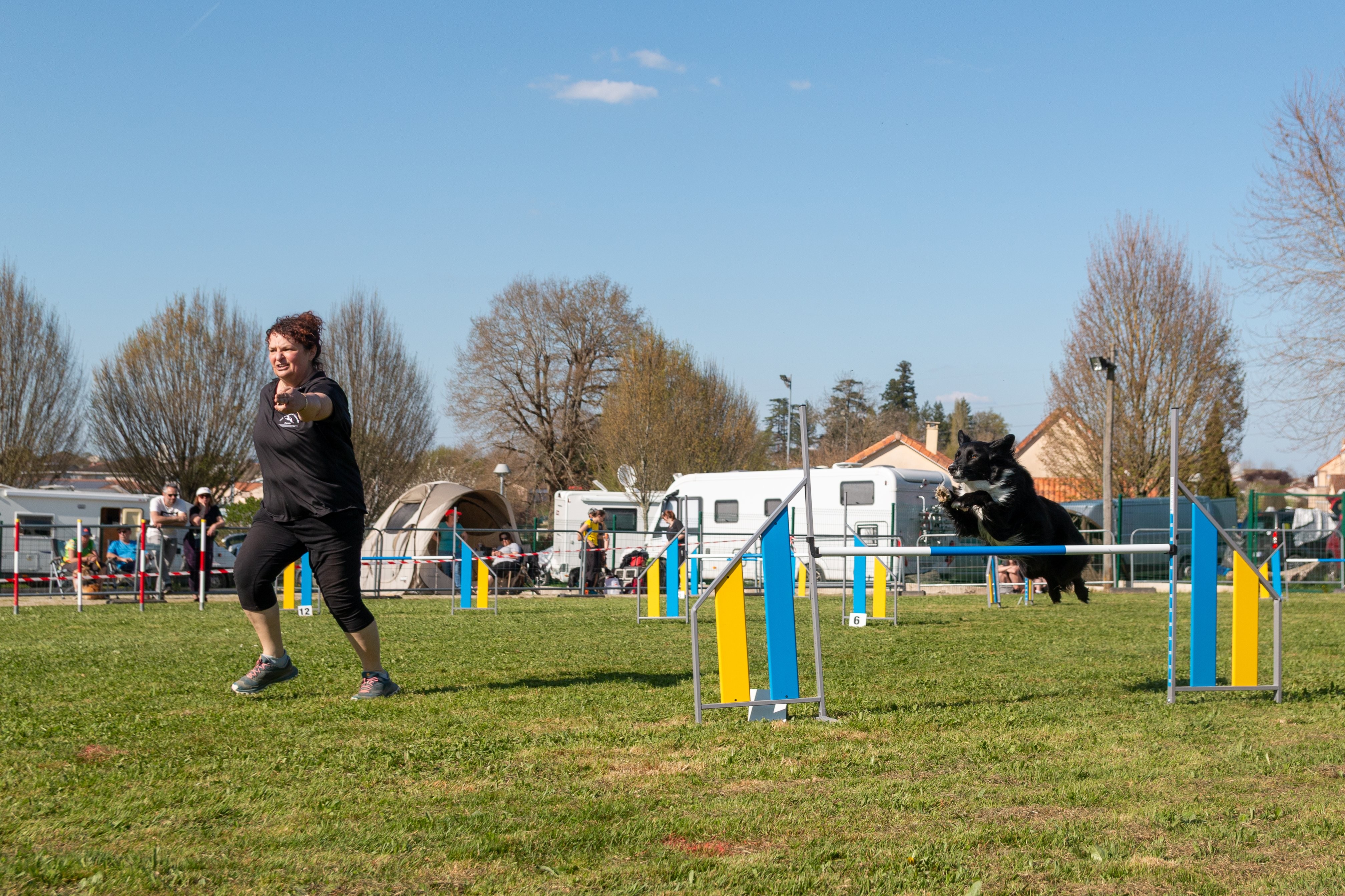Jumping 2 etoile 0518