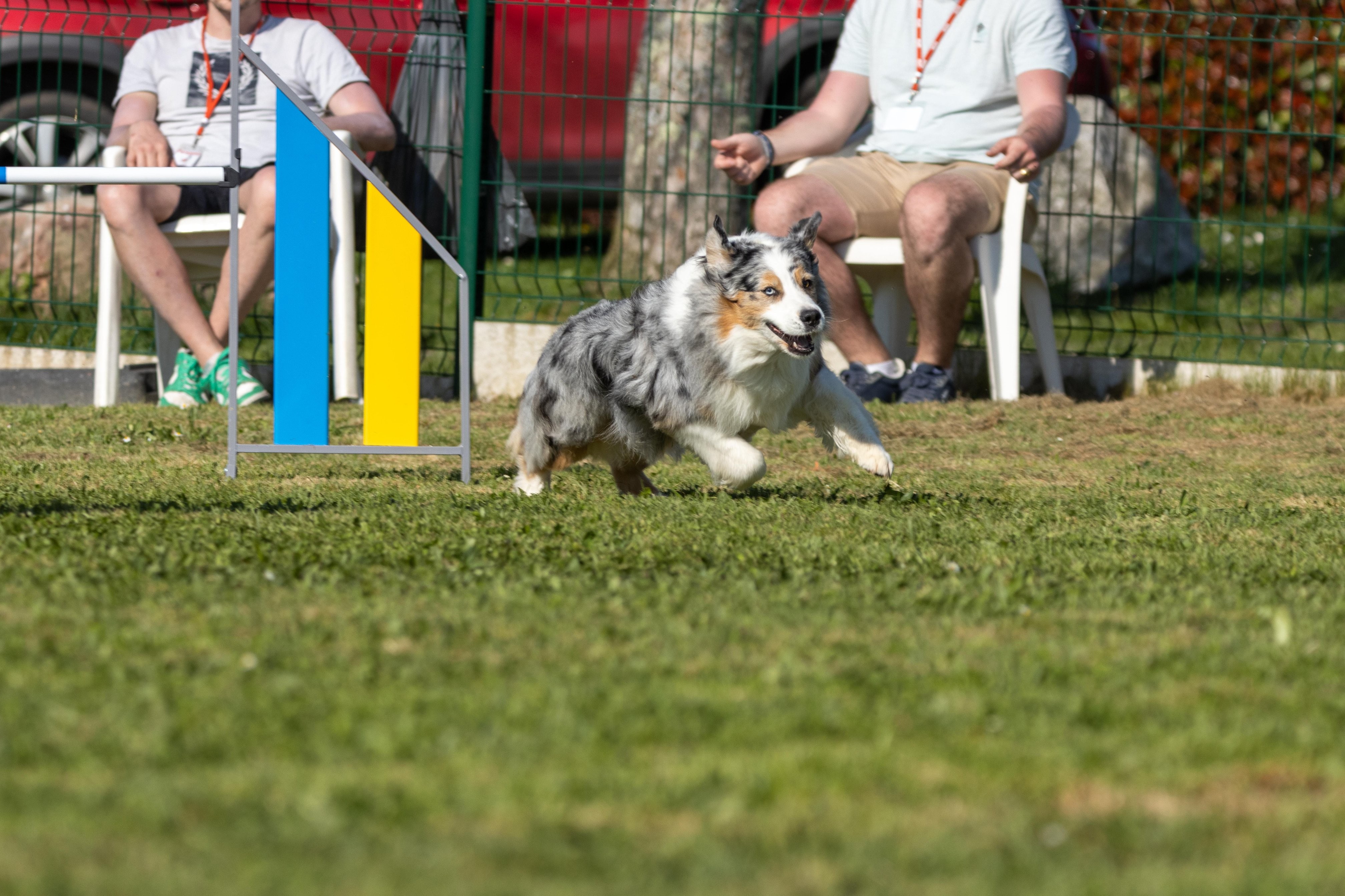 Jumping 2 etoile 0520