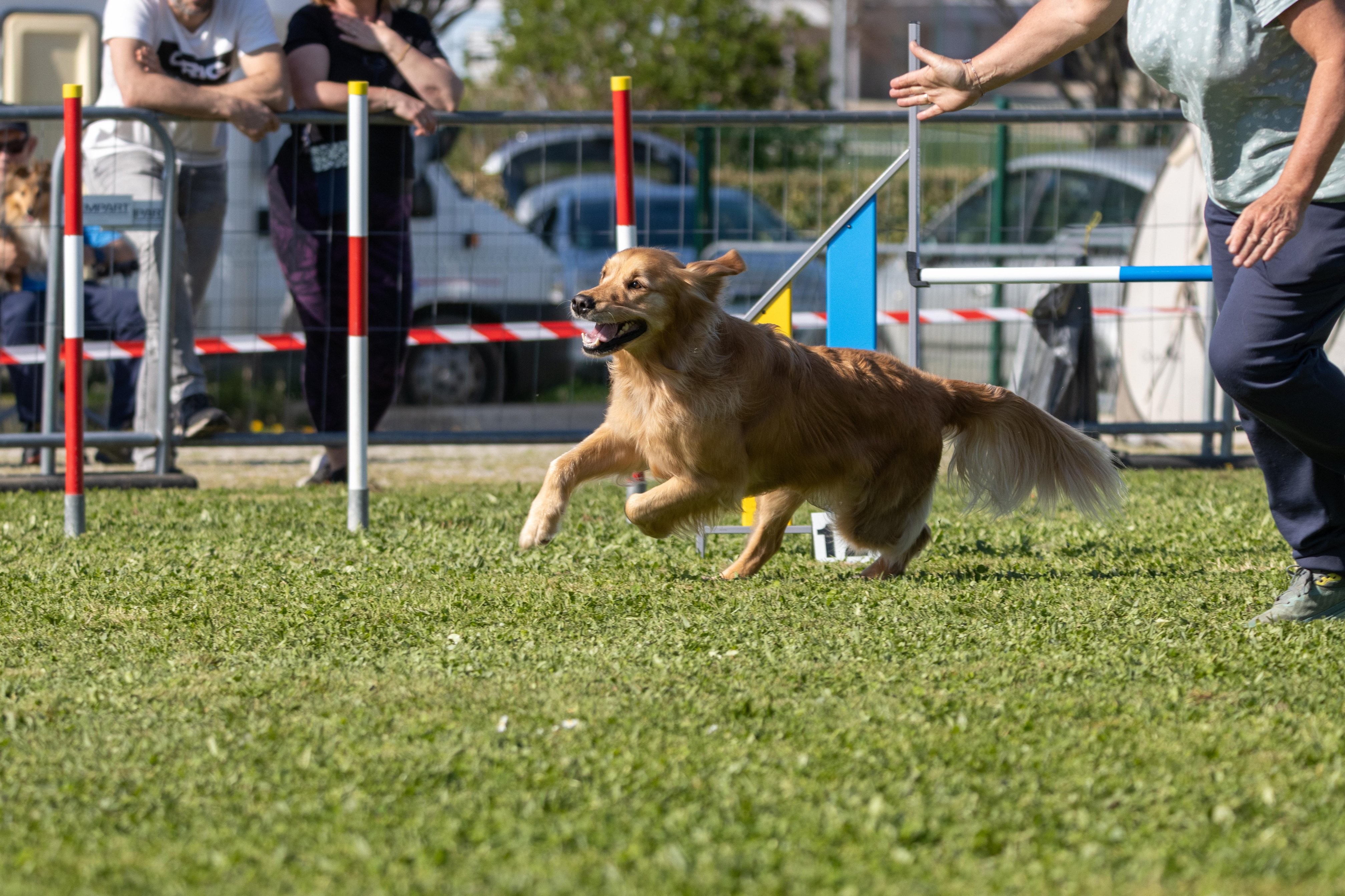 Jumping 2 etoile 0523