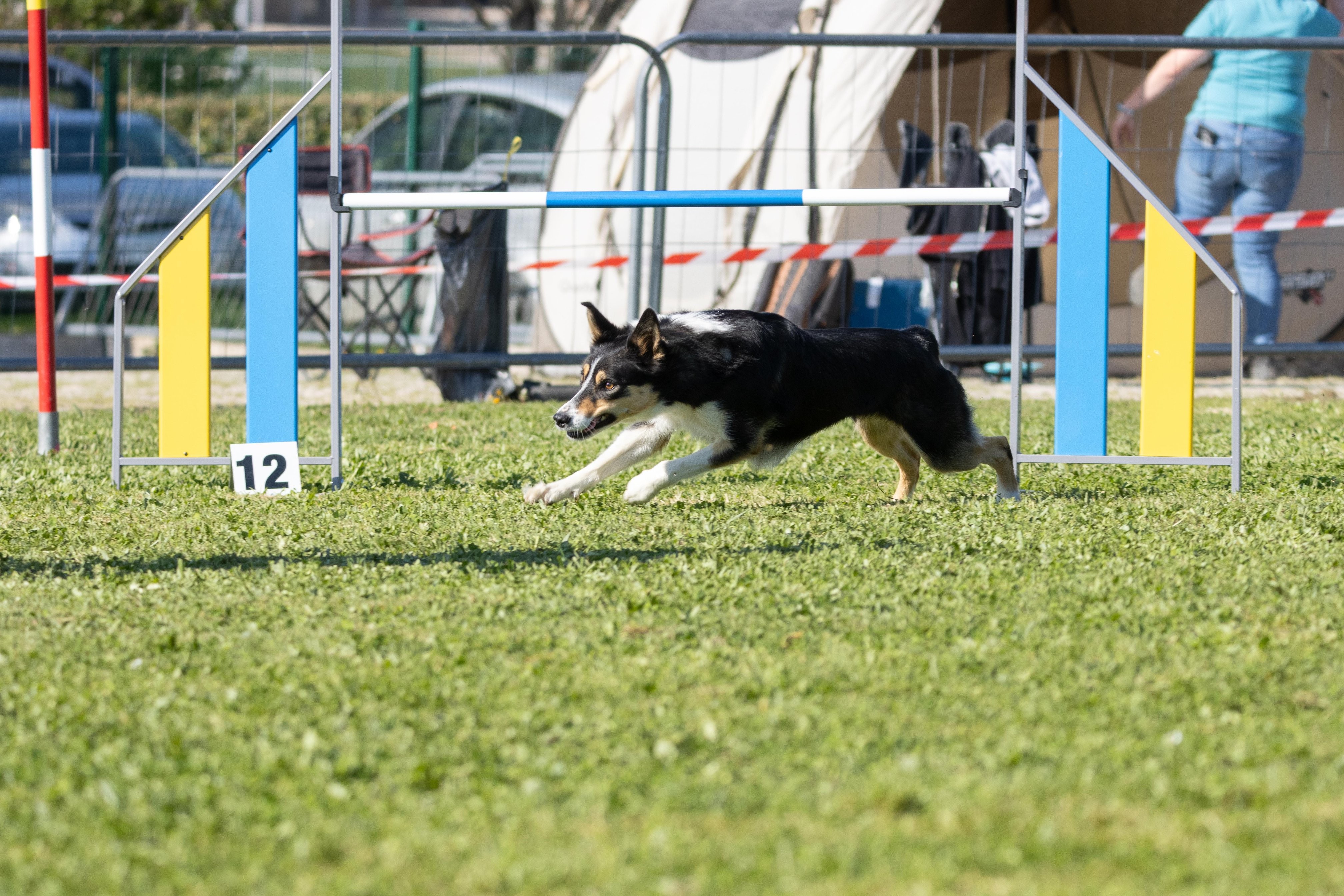 Jumping 2 etoile 0536