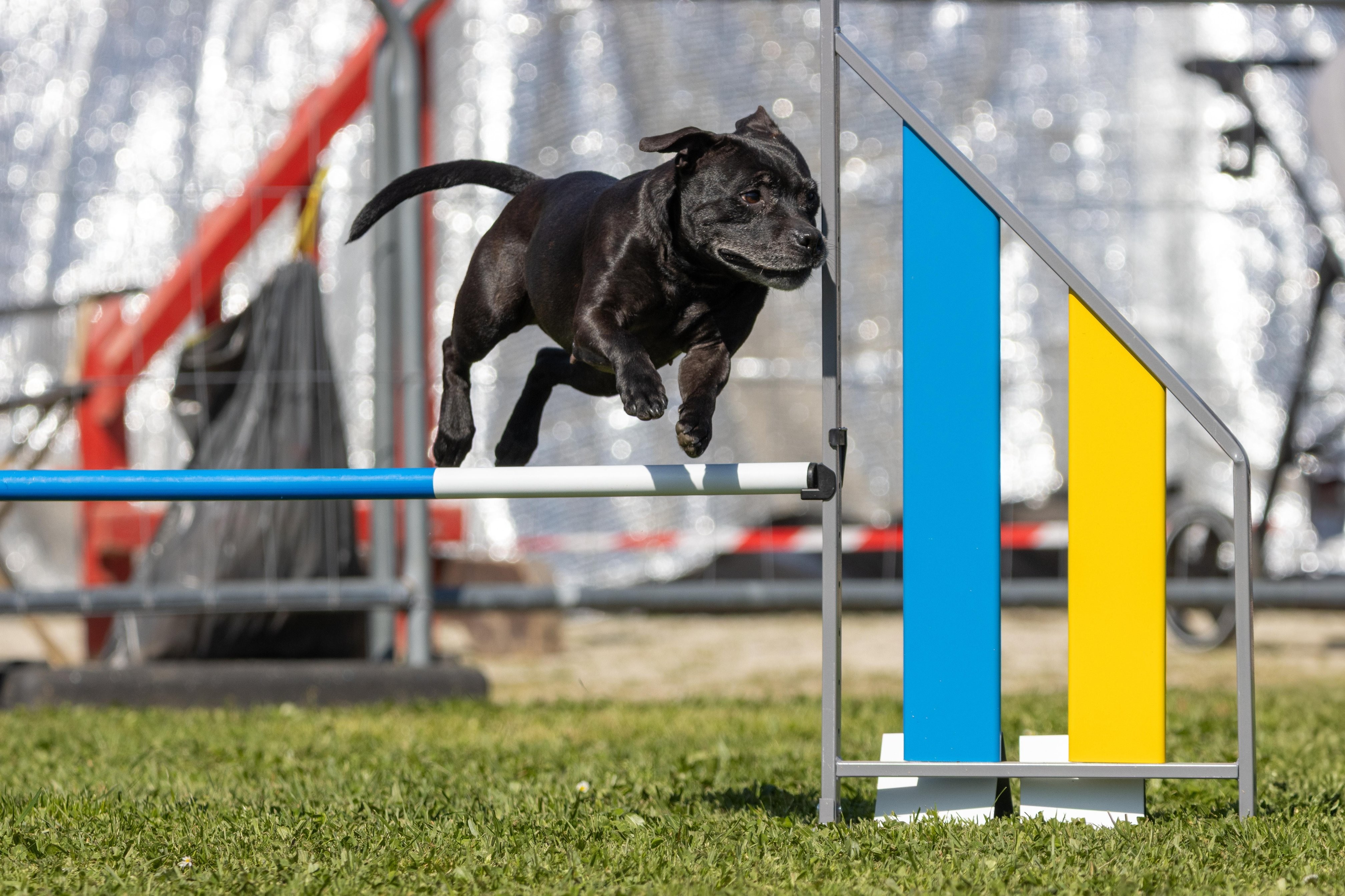 Jumping 3 0360