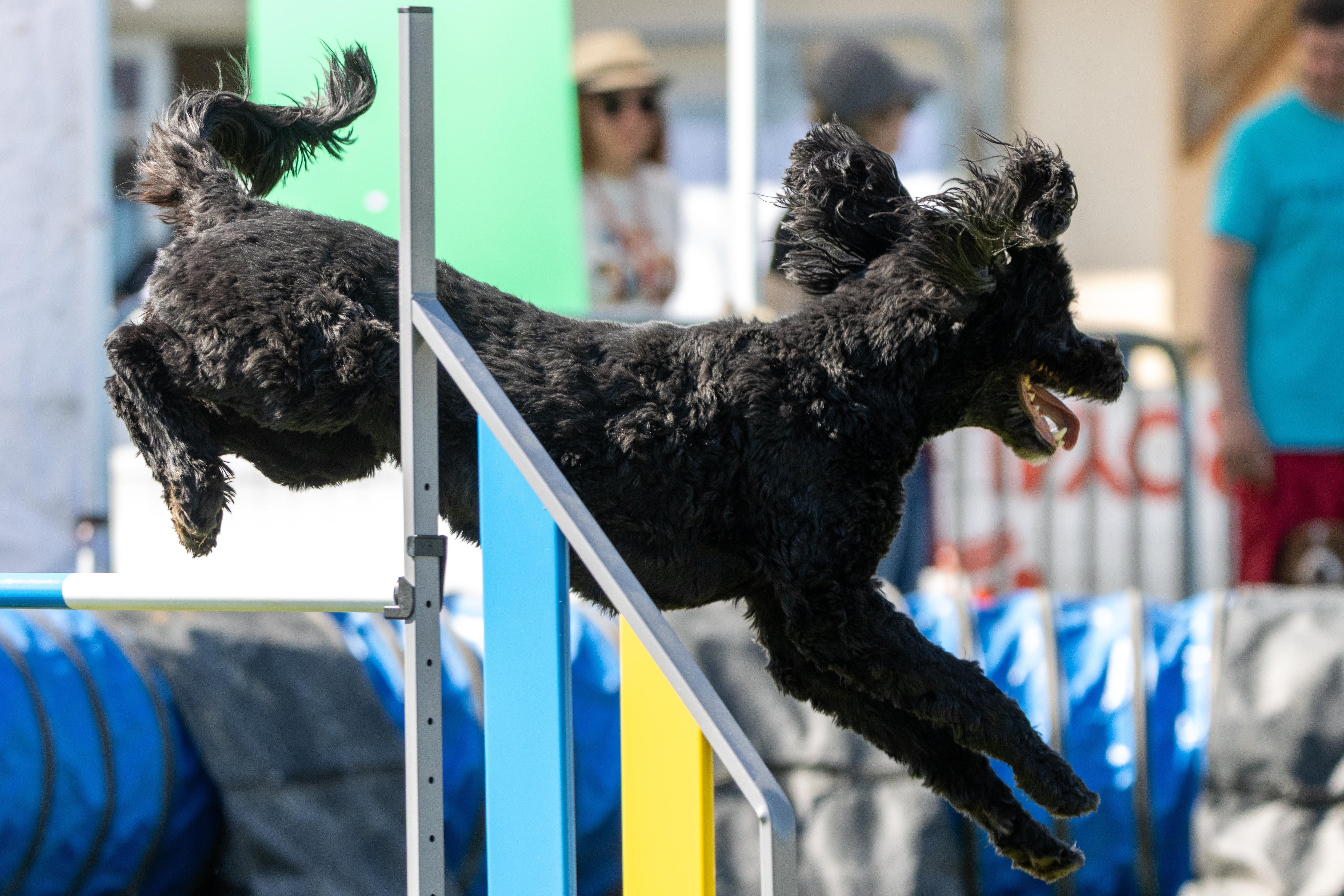 Jumping 3 0375