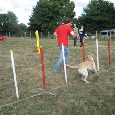 Margot & Guenji jumping (2)