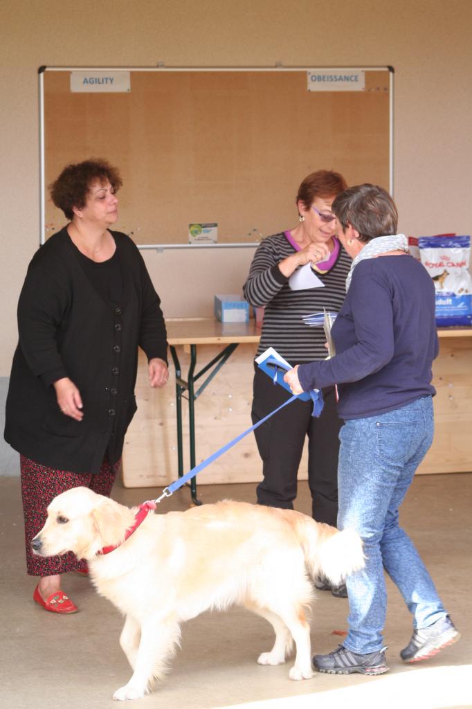 Remise des prix dimanche (2)