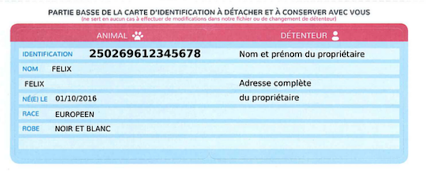 Carte didentification animaux